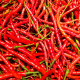 Chilli Kajenský pepř Thick - Capsicum annuum - semena chilli - 6 ks