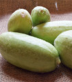 Meloun zeleninový Carosello Baresey - Cucumis flexuosus - semena melounu - 7 ks