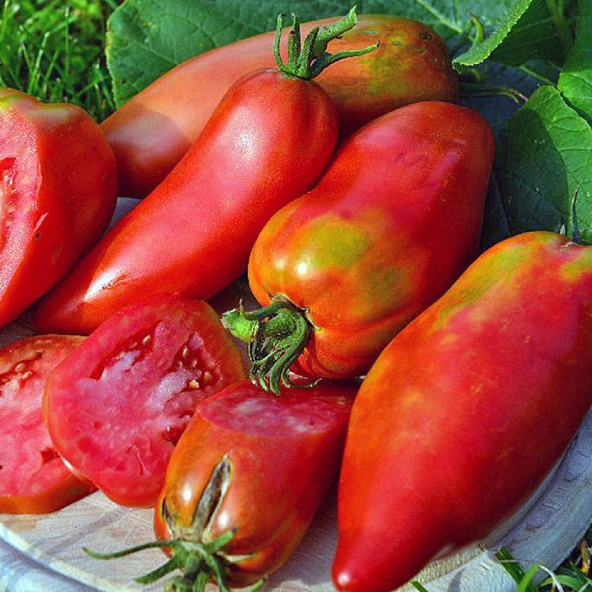Rajče Andenhorn Andine Cornue - Solanum lycopersicum - semena rajčete - 10 ks