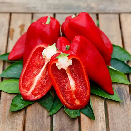 Paprika Snacking Red F1 - Capsicum annuum - semena papriky - 5 ks
