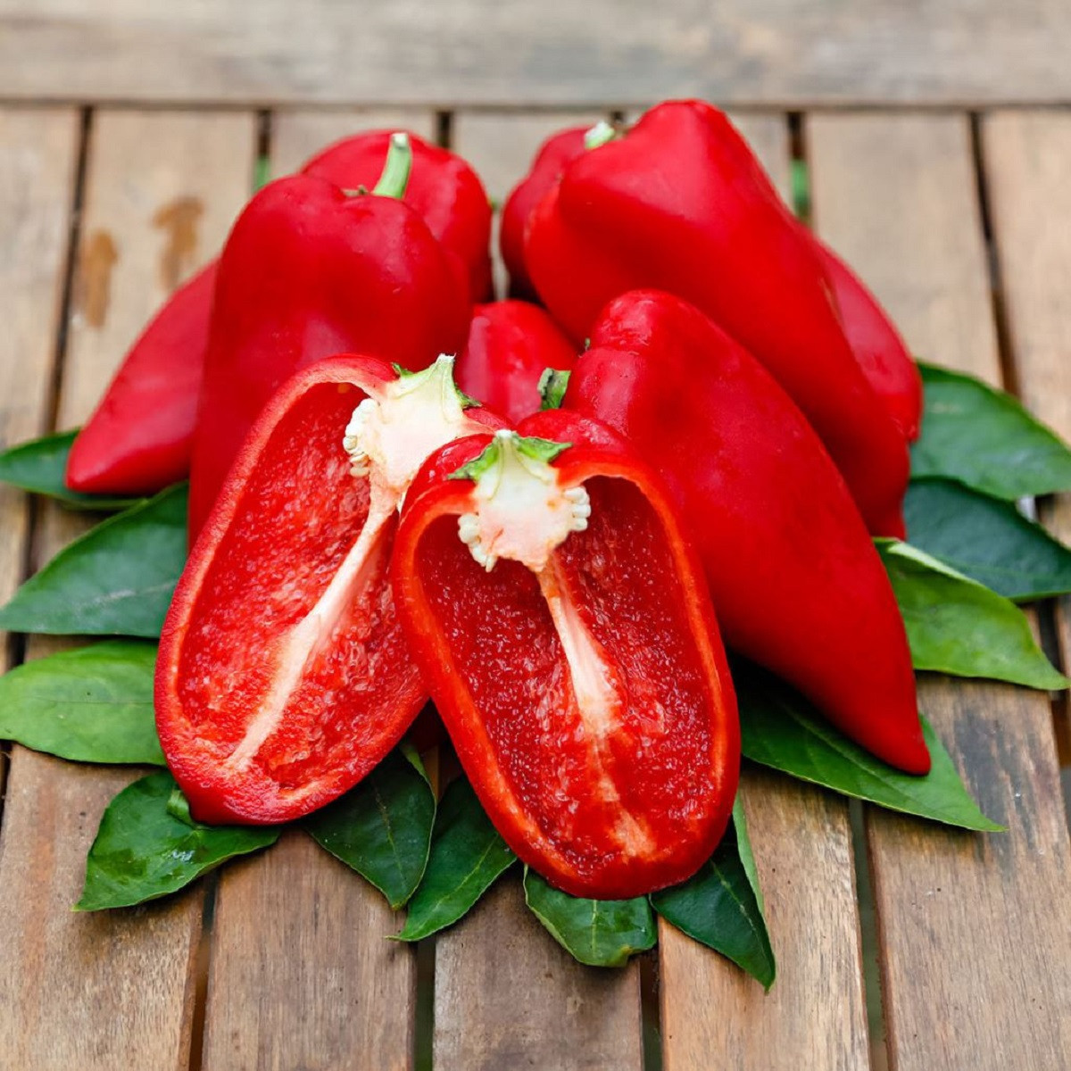 Paprika Snacking Red F1 - Capsicum annuum - semena papriky - 5 ks
