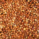 Cibule sazečka Všetana - Allium cepa - cibulky - 250 g