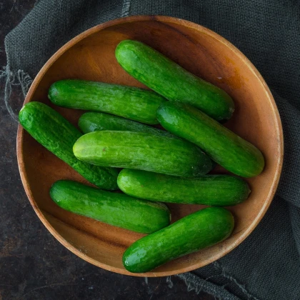 Okurka salátová Baby F1 - Cucumis sativus - semena okurky - 10 ks