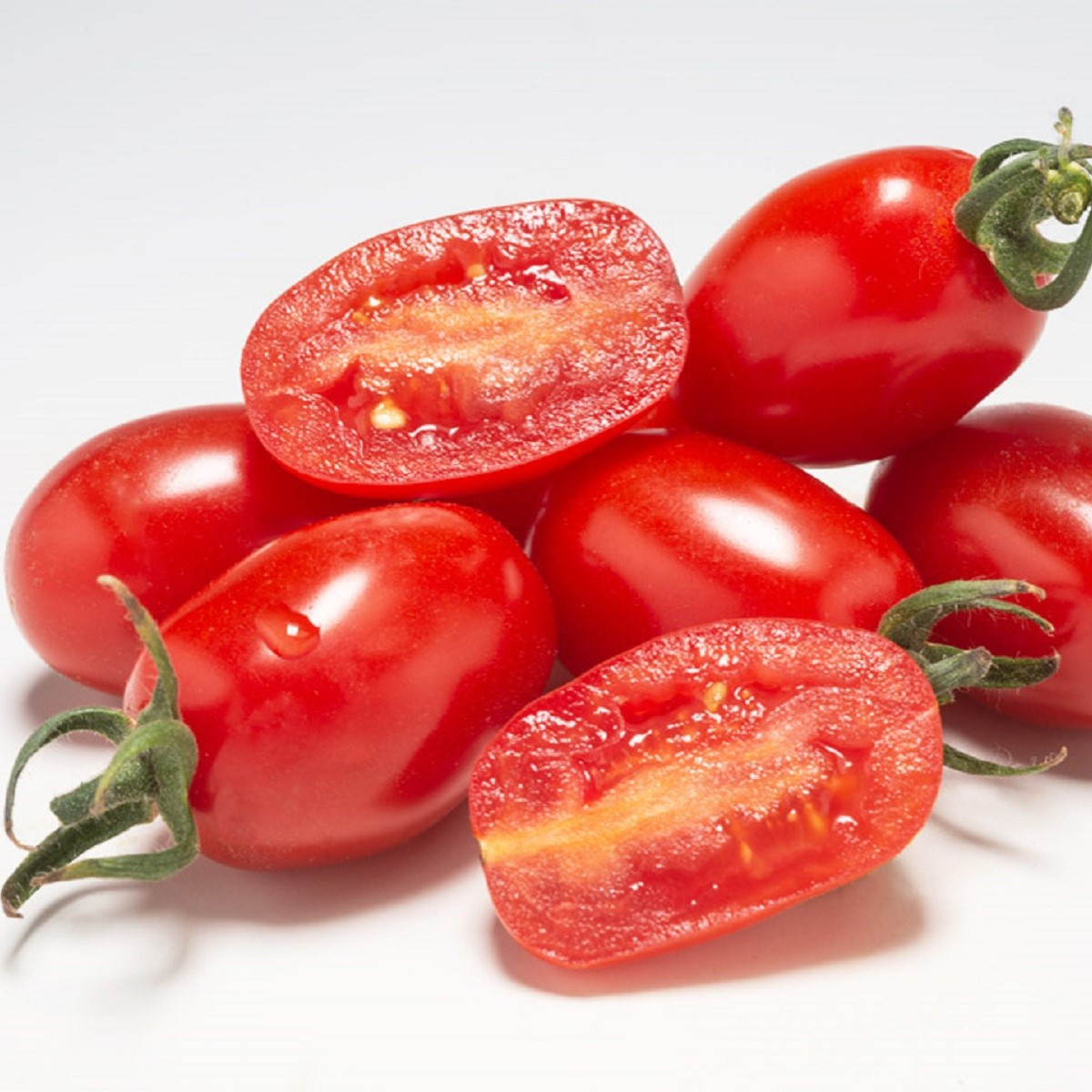 Rajče Dattored F1 - Solanum lycopersicum - semena rajčete - 6 ks