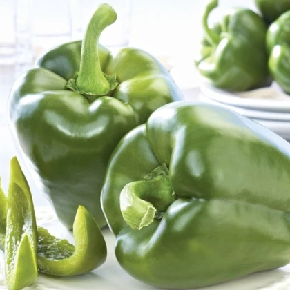 Paprika - Beluga green F1 - semena - 5 ks