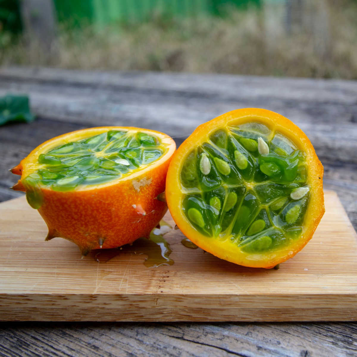 BIO Kiwano - Cucumis metuliferus - bio semena kiwana - 7 ks