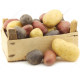 Sadbové brambory - 4 druhy - Solanum tuberosum - 12 ks