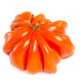 Rajče Coure di Bue - Solanum lycopersicum - semena rajčete - 10 ks
