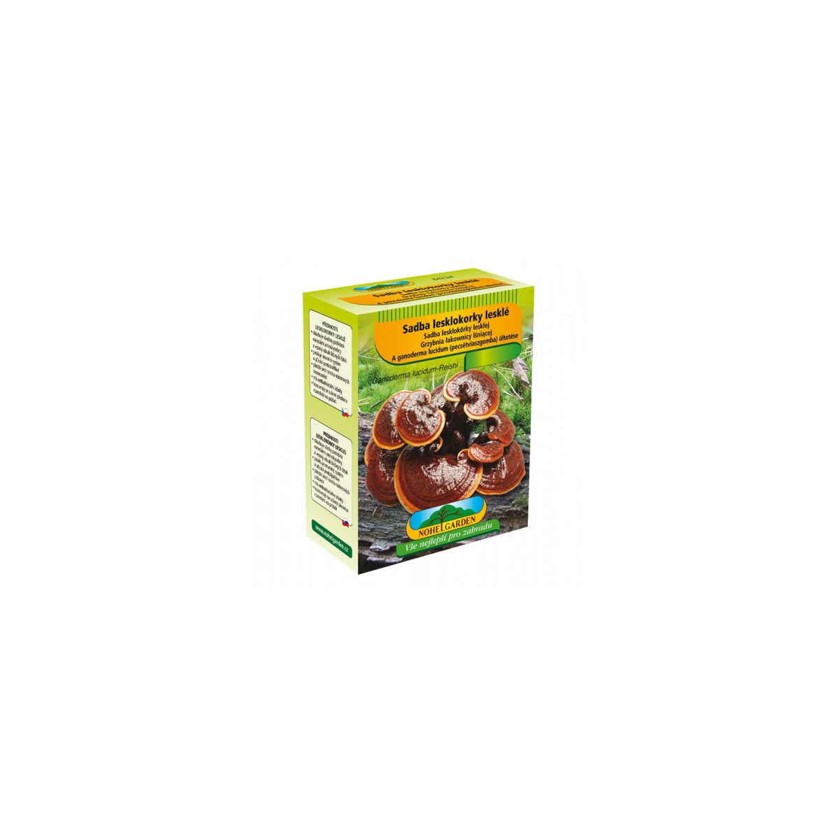 Sadba Lesklokorka lesklá - Ganoderma lucidum - sadba - 250 ml