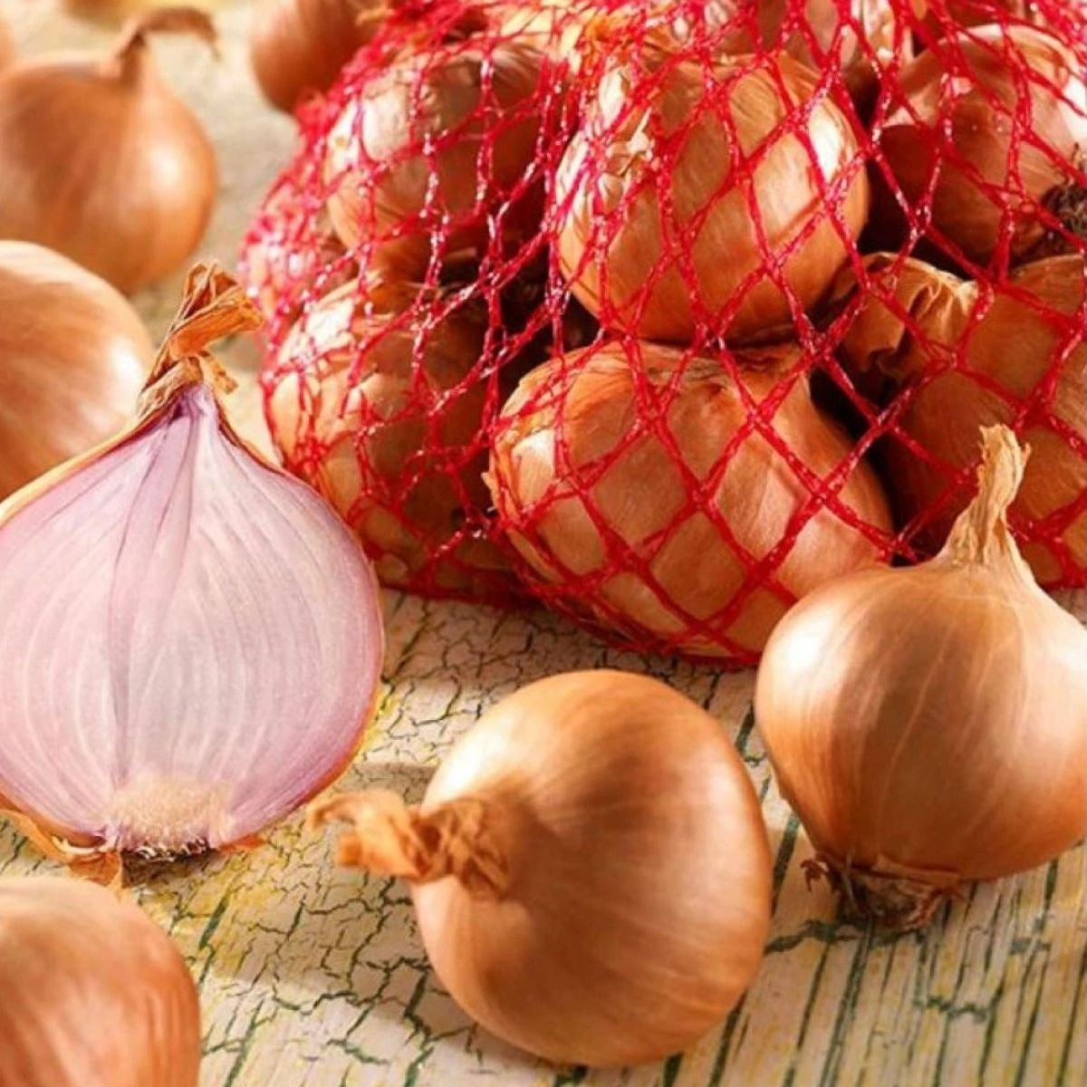 Cibule šalotka Red Sun - Allium cepa - cibulky - 250 g