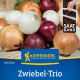 Cibule trio Hylander, Romy a Honeymoon - výsevný pásek - 1 ks