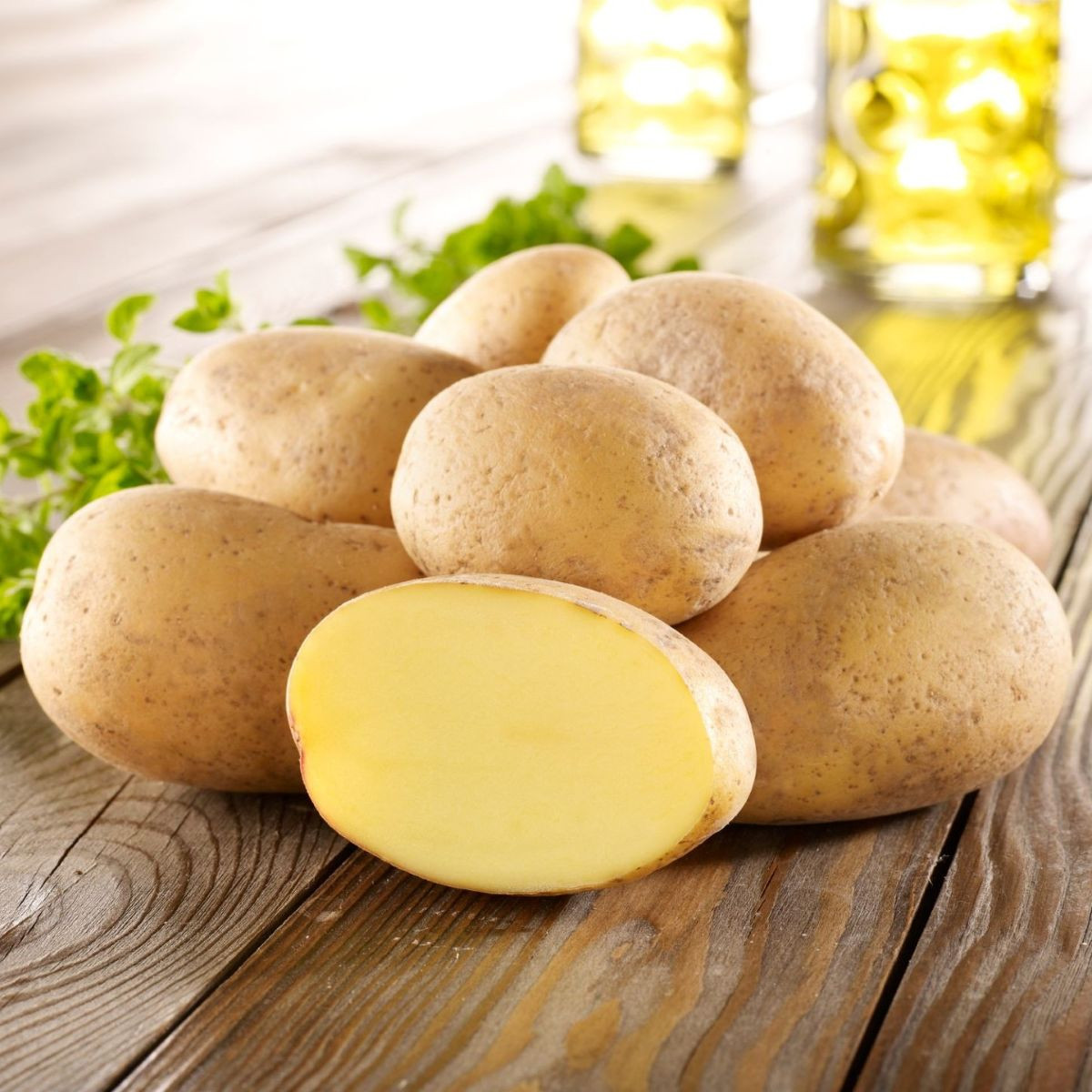 BIO sadbové brambory Gunda - Solanum tuberosum - bio brambory - 10 ks