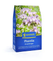 Zelené hnojení - svazenka - semena - 0,4 kg