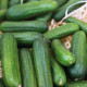 Okurka salátová Little Snack F1 - Cucumis sativus - semena okurky - 8 ks