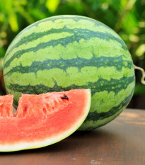 Meloun vodní Nanoor F1 - Citrullus lanatus - semena melounu - 6 ks