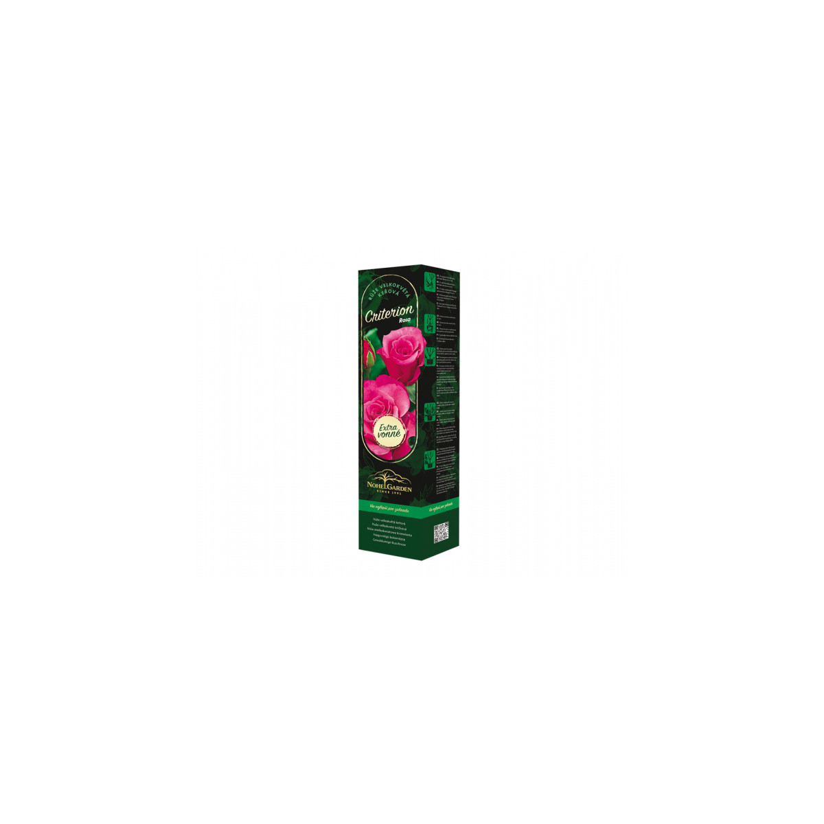 Růže velkokvětá keřová - Fragrant Criterion - Rosa - prostokořenné sazenice růže - 1 ks