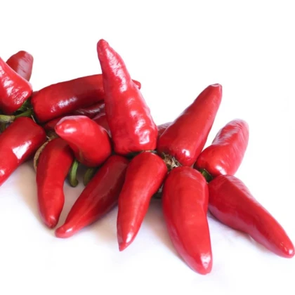 Семена люти чушки – чили Халапеньо – Capsicum annuum