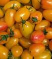BIO Rajče tyčkové Artisan Blush Tiger - Solanum lycopersicum - bio semena rajčete - 6 ks