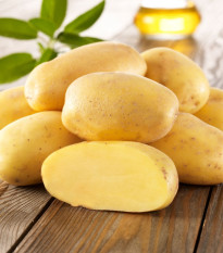 Sadbové brambory Sieglinde - Solanum tuberosum - brambory - 10 ks