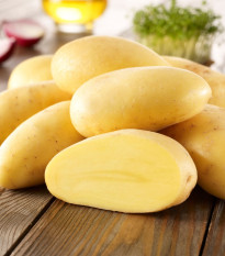 Sadbové brambory Cilena - Solanum tuberosum - brambory - 10 ks