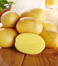 Sadbové brambory Glorietta - Solanum tuberosum - brambory - 10 ks