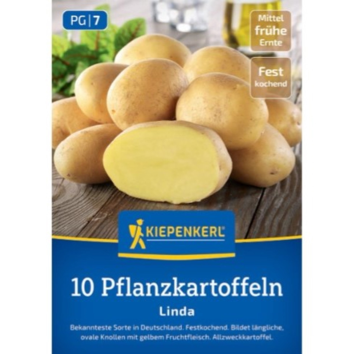 Sadbové brambory Linda - Solanum tuberosum - brambory - 10 ks