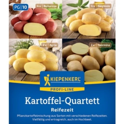Sadbové brambory - 4 druhy - doba zrání - Solanum tuberosum - brambory - 12 ks
