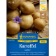 Brambory Jubila F1 - Solanum tuberosum - semena Kiepenkerl - 1 ks