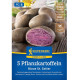 Sadbové brambory Blaue St. Galler - Solanum tuberosum - brambory - 5 ks