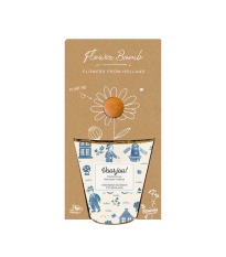 Pěstební set - Grow kit - Holandský mix - Blossombs - 1 ks