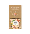 Pěstební set - Grow kit - směs pro motýly - Blossombs - 1 ks