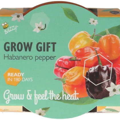 Buzzy Grow Gifts - Mini sada pro pěstování papriky - Pieterpik - 1 ks