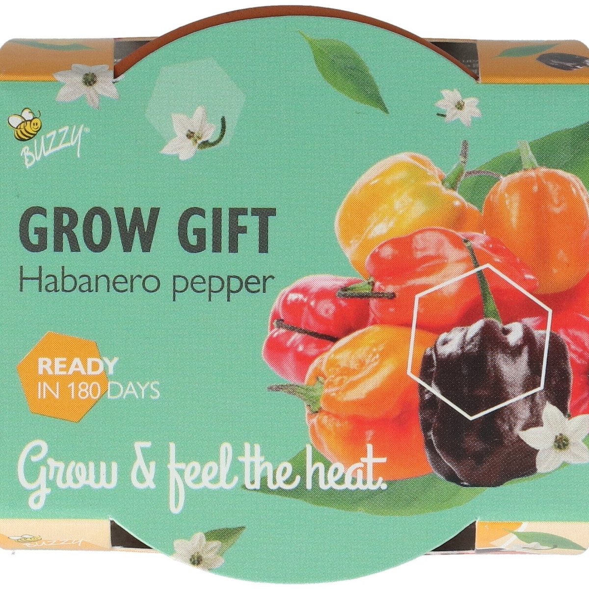Buzzy Grow Gifts - Mini sada pro pěstování papriky - Pieterpik - 1 ks