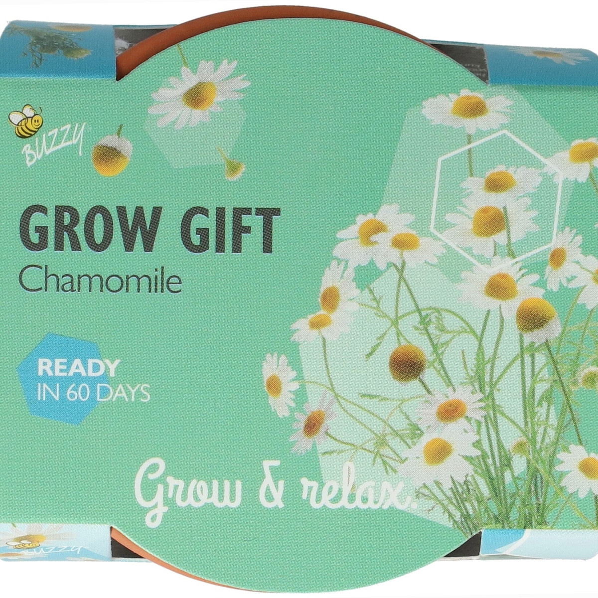 Buzzy Grow Gifts - Mini sada pro pěstování heřmánku - Pieterpik - 1 ks