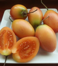 Rajčatový strom žlutý Tamarillo - Cyphomandra betacea - semena rajčatového stromu - 5 ks