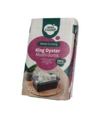 Mini Champ - sada pro domácí pěstování hlívy královské - Pleurotus eryngii - 1 ks