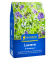 Zelené hnojení - vojtěška - semena - 400 g