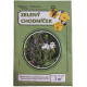 Zelený chodníček - semena Planta Naturalis - směs - 10 g