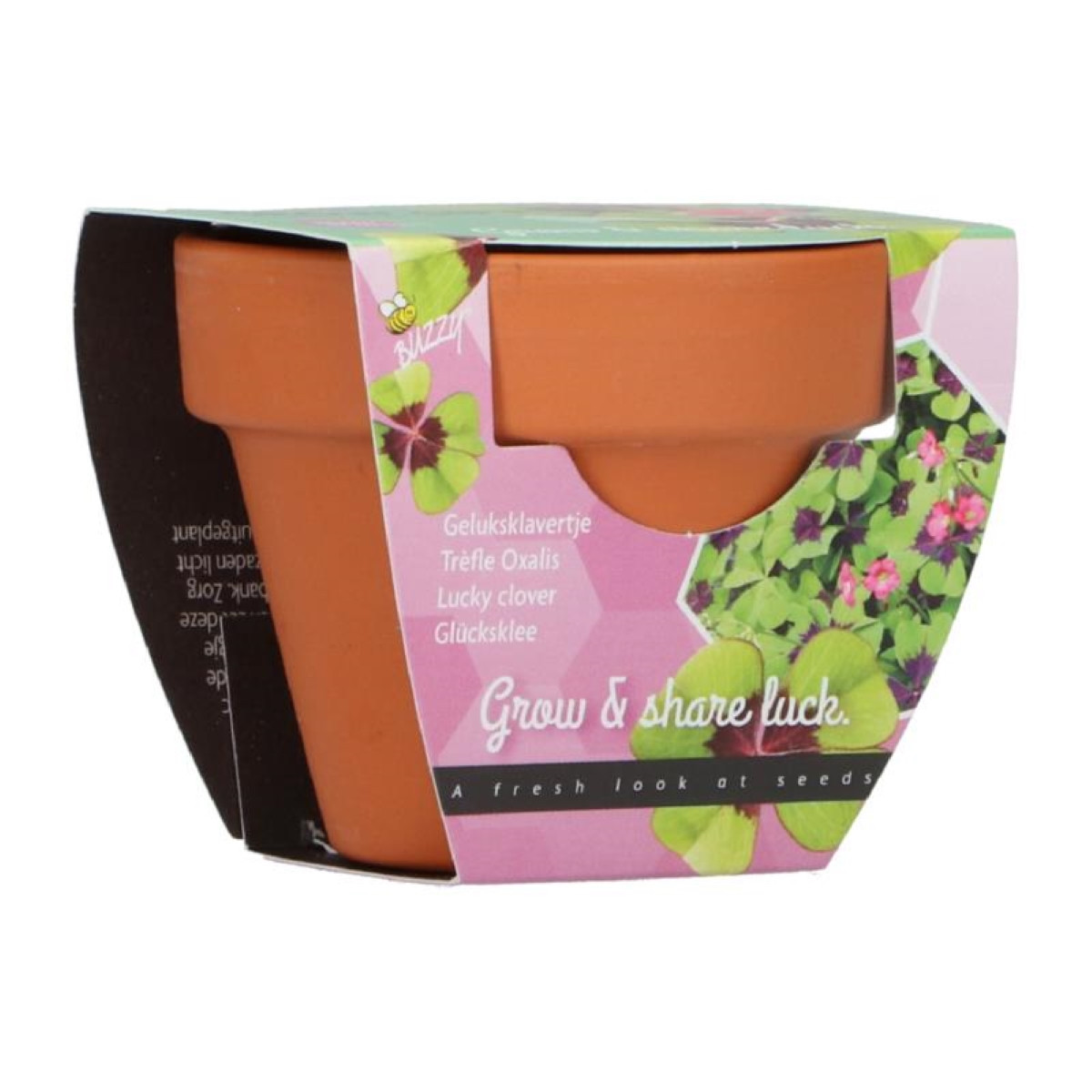Buzzy Grow Gifts – Mini sada pro pěstování čtyřlístku - Pieterpik - 1 ks