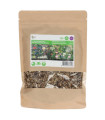 Směs květin pro polní kytice - Field Bouquet - Pieterpik - 250 g
