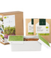 Startovací sada BIO microgreen - Heimgart - sada včetně 2 plátů