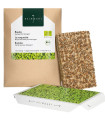 BIO microgreen Rukola - Heimgart - náhradní pláty - 1 ks