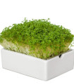 BIO microgreen Řeřicha - Heimgart - náhradní pláty - 1 ks