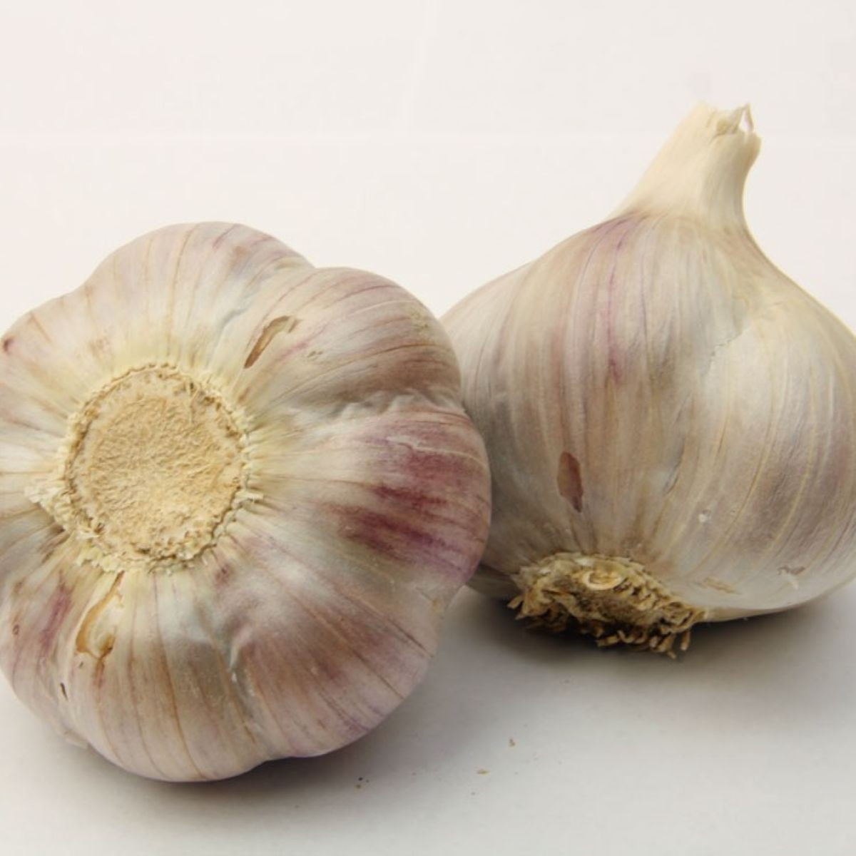 Садов чесън Bjetin - Allium sativum - зимен стрелкуващ - луковици чесън - 1 опаковка