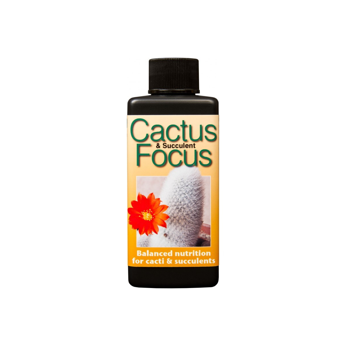 Hnojivo Focus pro kaktusy a sukulenty - 100 ml