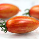 Rajče Artisan Pink Tiger - Solanum lycopersicum - semena rajčete - 5 ks