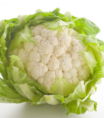 Květák raný Erfurter Zwerg - Brassica oleracea var. botrytis - semena květáku - 120 ks
