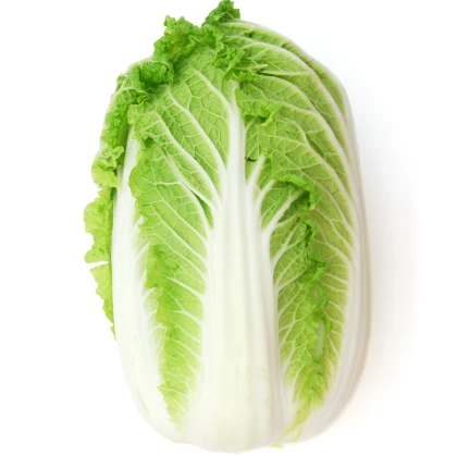 Zelí pekingské Michihili - Brassica rapa ssp. pekinensis - semena - 0,8 gr
