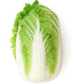 Zelí pekingské Michihili - Brassica rapa ssp. pekinensis - semena - 0,8 gr