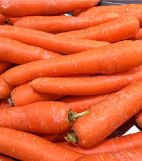 Mrkev Lange Rote Strumpfe - Daucus carota - semena mrkve - 900 ks